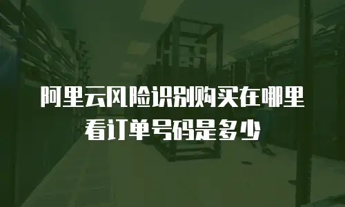 阿里云风险识别购买在哪里看订单号码是多少