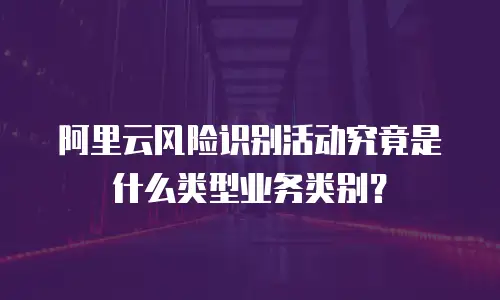 阿里云风险识别活动究竟是什么类型业务类别？