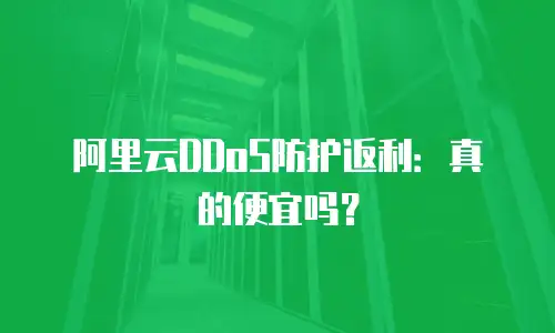 阿里云DDoS防护返利：真的便宜吗？