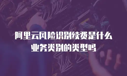阿里云风险识别续费是什么业务类别的类型吗