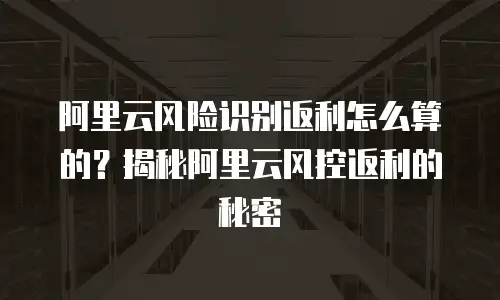 阿里云风险识别返利怎么算的？揭秘阿里云风控返利的秘密