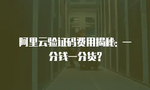 阿里云验证码费用揭秘: 一分钱一分货?