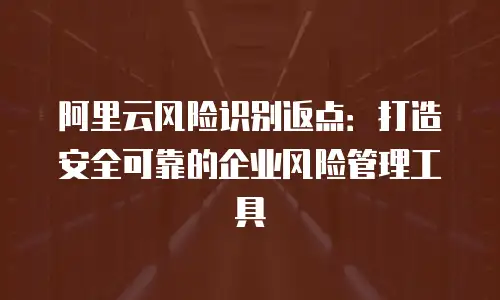 阿里云风险识别返点：打造安全可靠的企业风险管理工具
