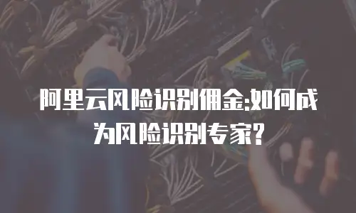 阿里云风险识别佣金:如何成为风险识别专家?