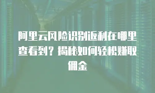 阿里云风险识别返利在哪里查看到？揭秘如何轻松赚取佣金