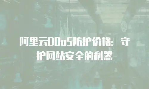 阿里云DDoS防护价格：守护网站安全的利器