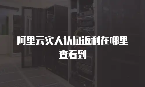 阿里云实人认证返利在哪里查看到