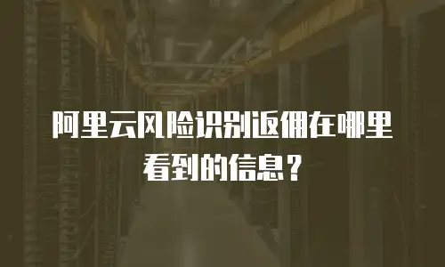 阿里云风险识别返佣在哪里看到的信息？