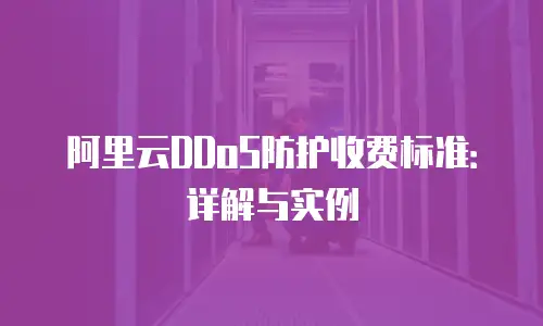 阿里云DDoS防护收费标准：详解与实例