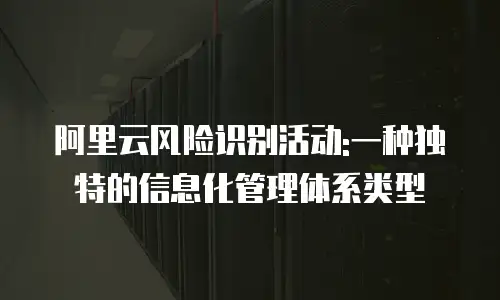 阿里云风险识别活动:一种独特的信息化管理体系类型