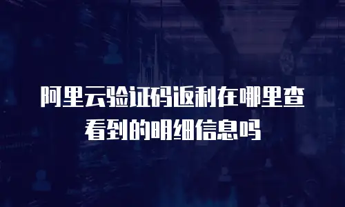 阿里云验证码返利在哪里查看到的明细信息吗