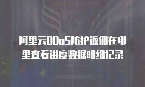 阿里云DDoS防护返佣在哪里查看进度数据明细记录