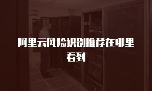 阿里云风险识别推荐在哪里看到