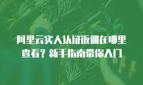 阿里云实人认证返佣在哪里查看？新手指南带你入门