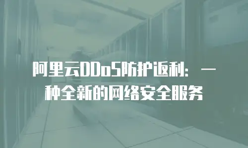 阿里云DDoS防护返利：一种全新的网络安全服务