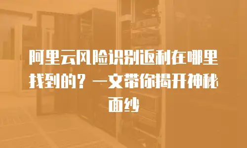 阿里云风险识别返利在哪里找到的？一文带你揭开神秘面纱