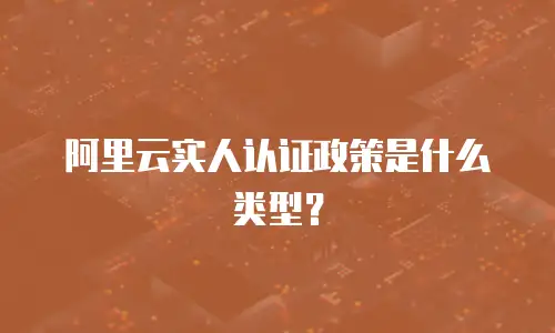 阿里云实人认证政策是什么类型？