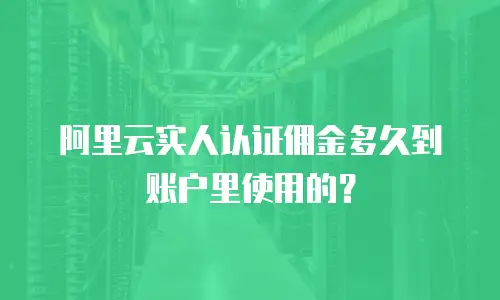 阿里云实人认证佣金多久到账户里使用的？