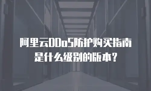 阿里云DDoS防护购买指南是什么级别的版本？