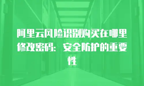 阿里云风险识别购买在哪里修改密码：安全防护的重要性