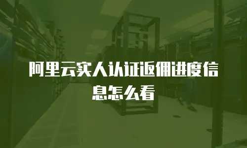 阿里云实人认证返佣进度信息怎么看