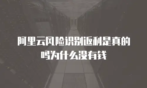 阿里云风险识别返利是真的吗为什么没有钱