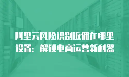 阿里云风险识别返佣在哪里设置：解锁电商运营新利器