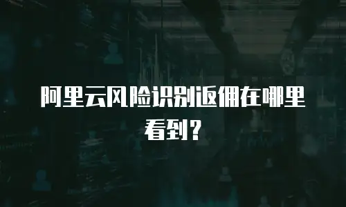 阿里云风险识别返佣在哪里看到？
