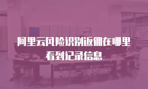 阿里云风险识别返佣在哪里看到记录信息