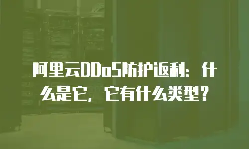 阿里云DDoS防护返利：什么是它，它有什么类型？