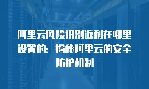 阿里云风险识别返利在哪里设置的：揭秘阿里云的安全防护机制