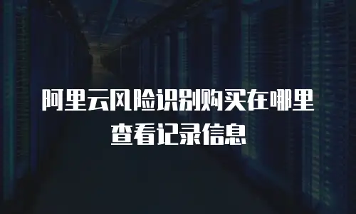 阿里云风险识别购买在哪里查看记录信息