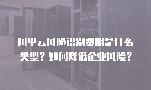 阿里云风险识别费用是什么类型？如何降低企业风险？