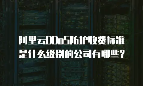 阿里云DDoS防护收费标准是什么级别的公司有哪些？