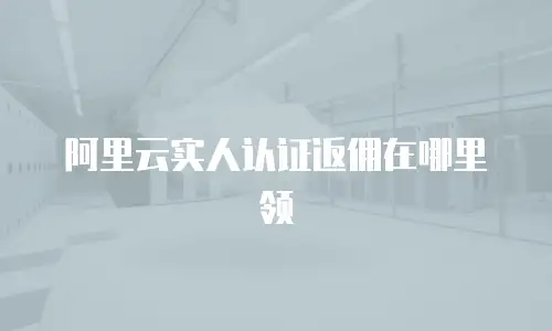 阿里云实人认证返佣在哪里领