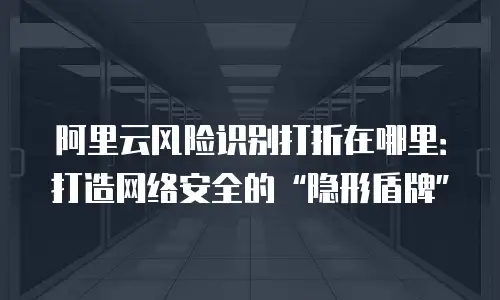 阿里云风险识别打折在哪里：打造网络安全的“隐形盾牌”