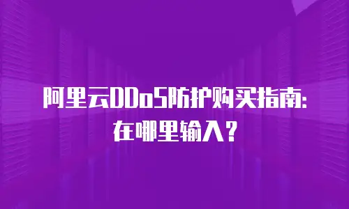 阿里云DDoS防护购买指南：在哪里输入？