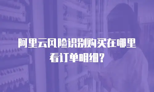 阿里云风险识别购买在哪里看订单明细？