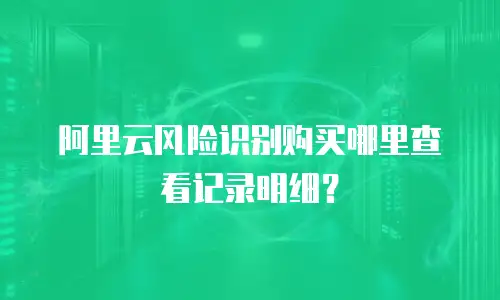 阿里云风险识别购买哪里查看记录明细？
