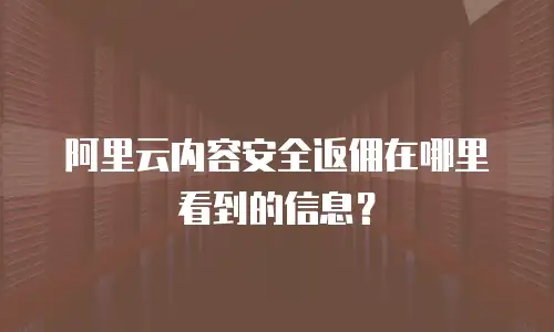阿里云内容安全返佣在哪里看到的,阿里云内容安全返佣在哪里看到的信息