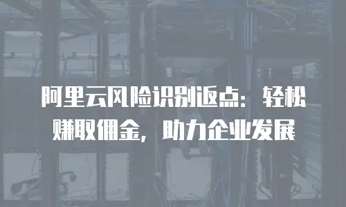 阿里云风险识别返点：轻松赚取佣金，助力企业发展