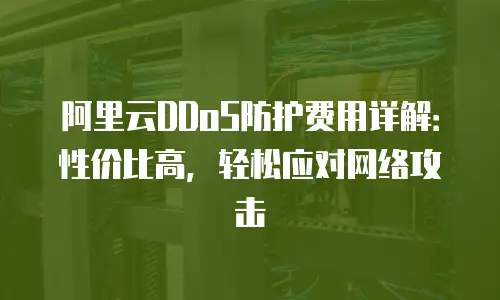 阿里云DDoS防护费用详解：性价比高，轻松应对网络攻击