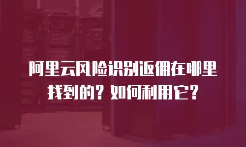阿里云风险识别返佣在哪里找到的？如何利用它？