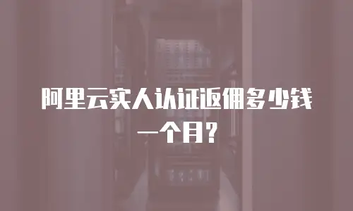 阿里云实人认证返佣多少钱一个月？