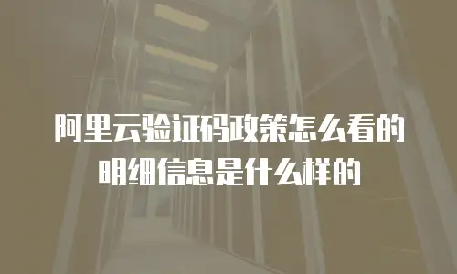 阿里云验证码政策怎么看的明细信息是什么样的