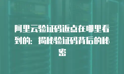 阿里云验证码返点在哪里看到的：揭秘验证码背后的秘密