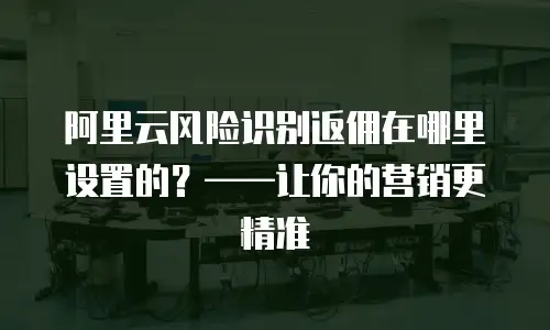 阿里云风险识别返佣在哪里设置的？——让你的营销更精准