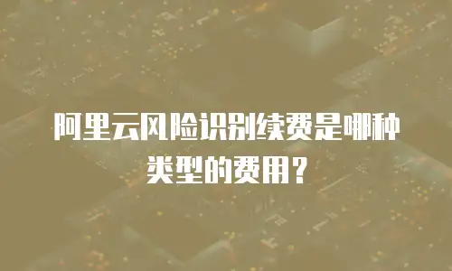 阿里云风险识别续费是哪种类型的费用？