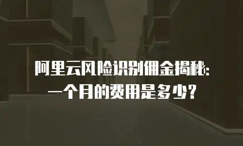 阿里云风险识别佣金揭秘：一个月的费用是多少？