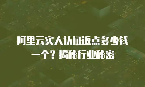 阿里云实人认证返点多少钱一个？揭秘行业秘密